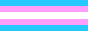 A trans flag.